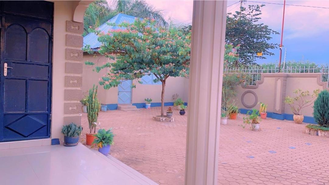 Evelina House Hostel Boma la Ngombe Kültér fotó